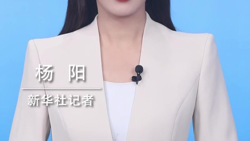科技服务与咨询的收费标准通常由以下几个部分构成：